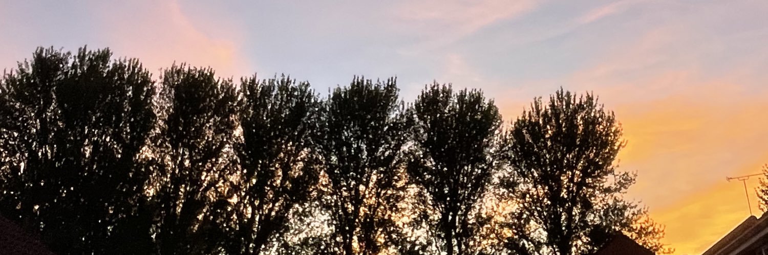 KimVDraper's profile banner image