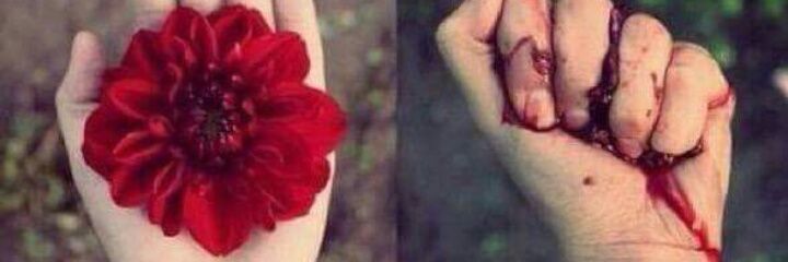 sanaylicious's profile banner image