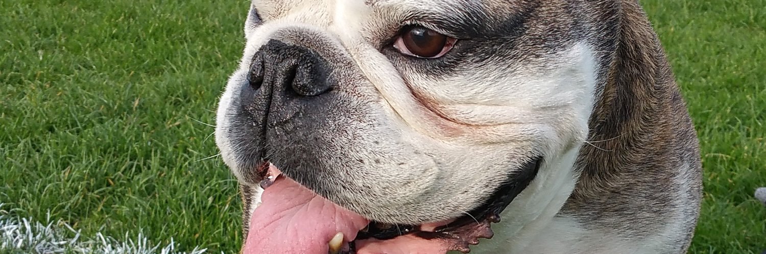 usbeautifulidea's profile banner image