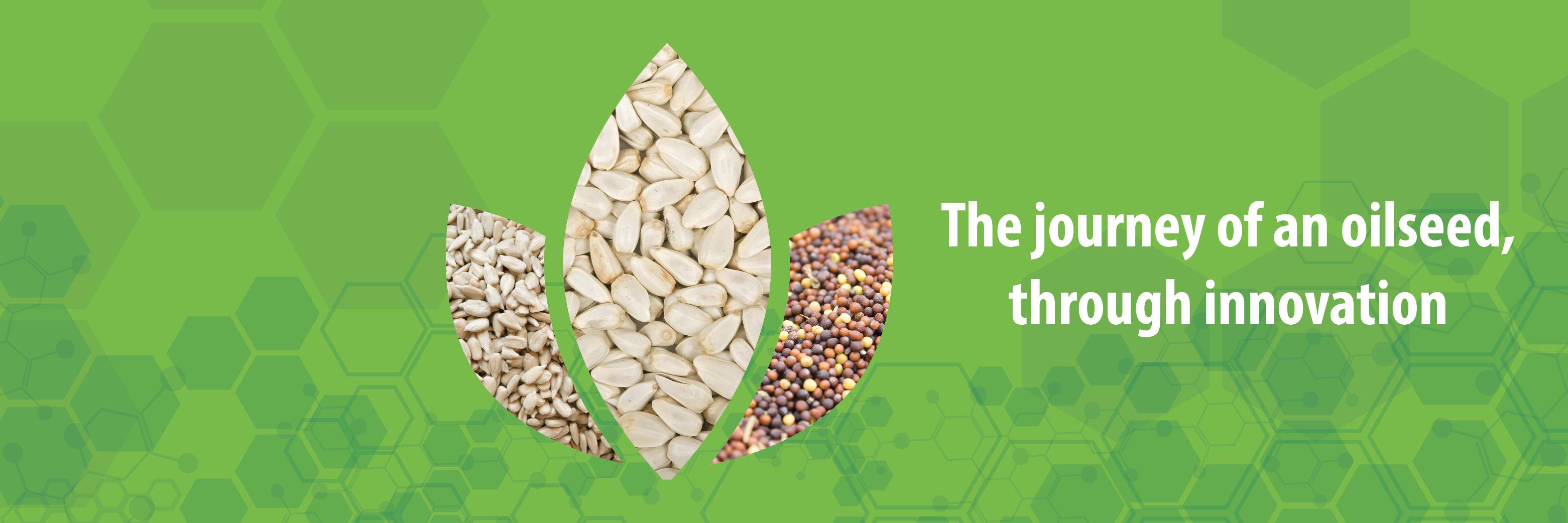 Botaneco Inc. banner