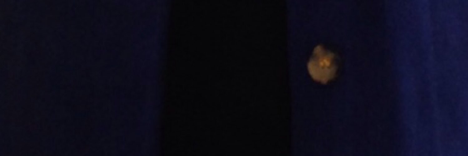 proefspace's profile banner image