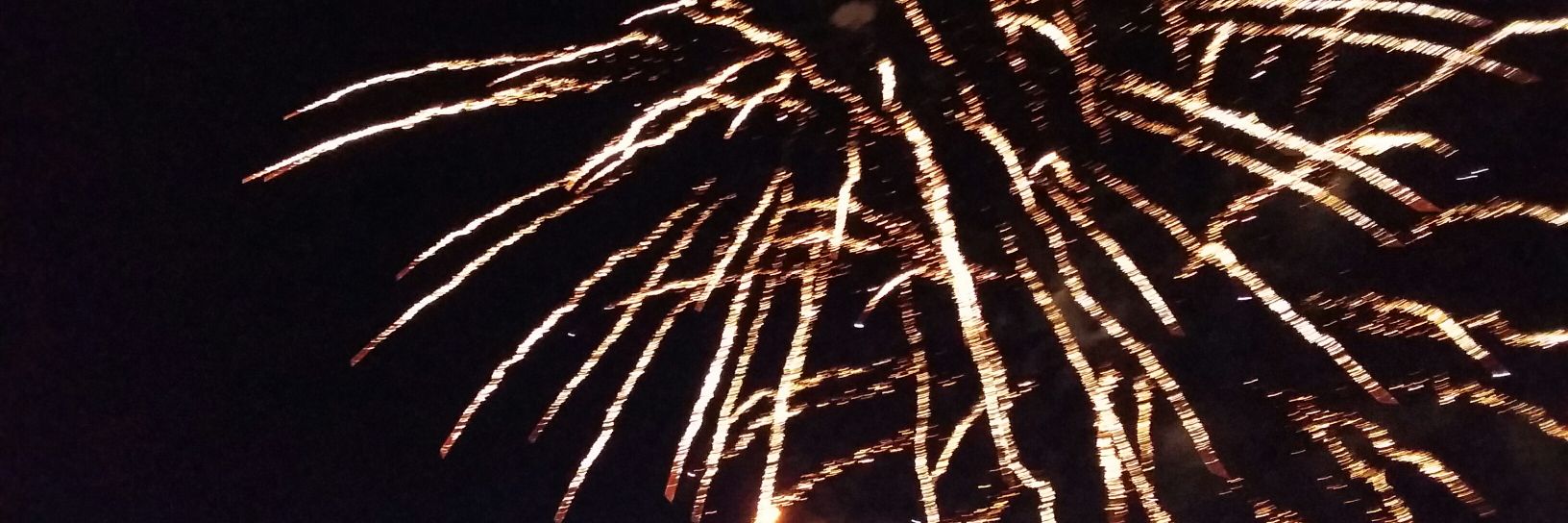 lisa hedderly banner