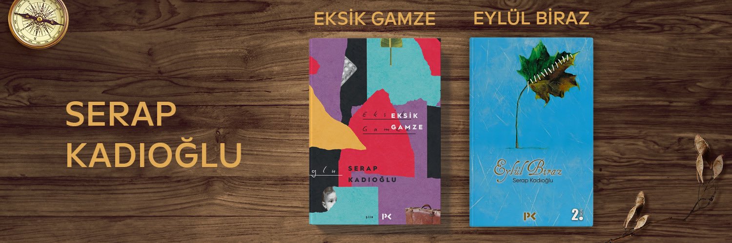 serapkadioglu's profile banner image