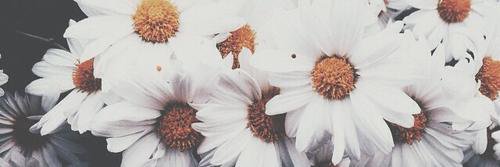 anamath_'s profile banner image