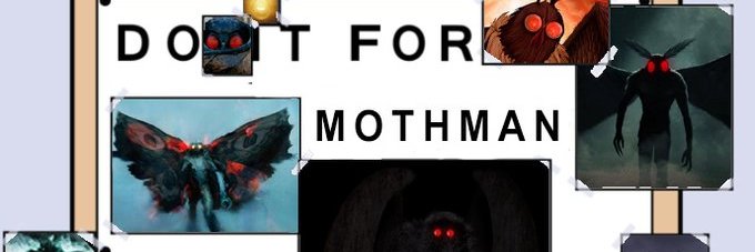 ElizabethMorfo's profile banner image