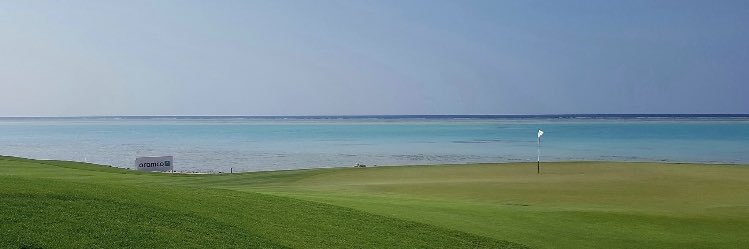 Brandon Craggs banner