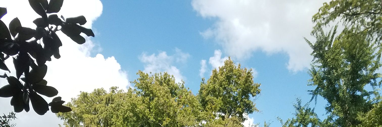 audellva's profile banner image