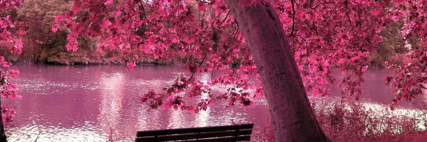 Mónica De Sousa banner