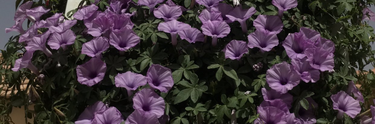 ali_m588's profile banner image