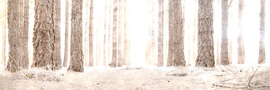 morganbwrites's profile banner image