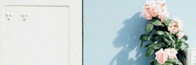 AsmaaShaker16's profile banner image