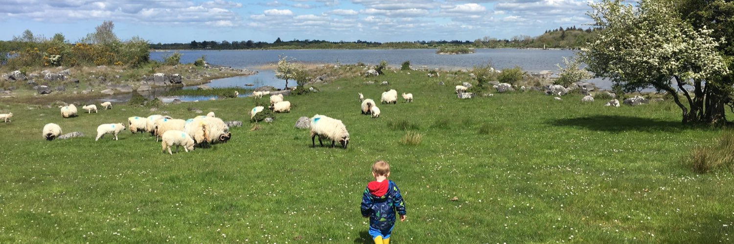 Fionnuala Finnerty banner