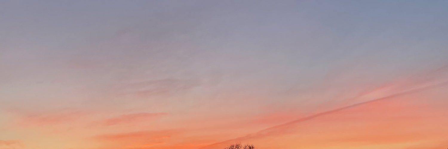 Gabbybellamy's profile banner image