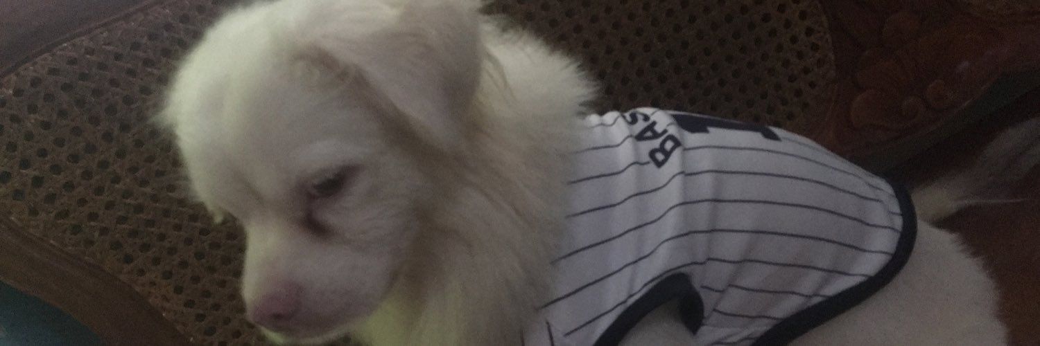 jamaica02's profile banner image