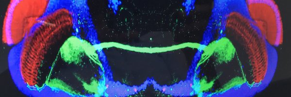 TheHassanLab Profile Banner