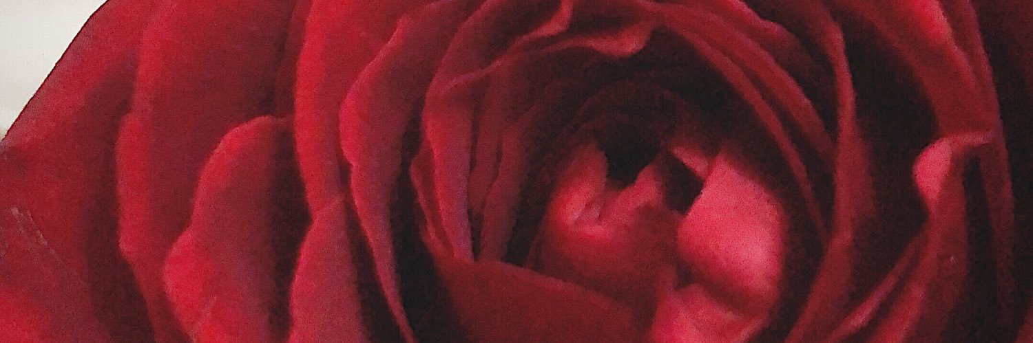 muninggs's profile banner image
