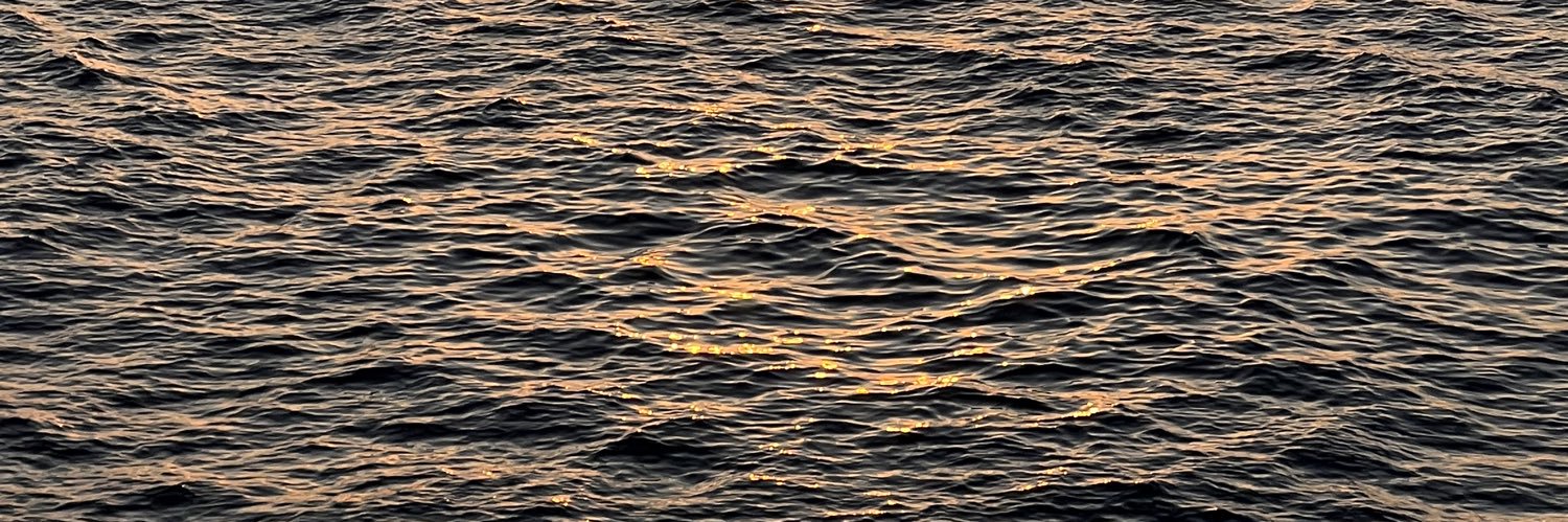 rahfeldisla's profile banner image