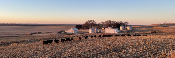 WLonginaker Profile Banner