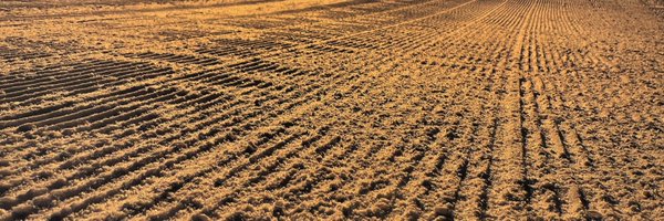 OkemoConditions Profile Banner