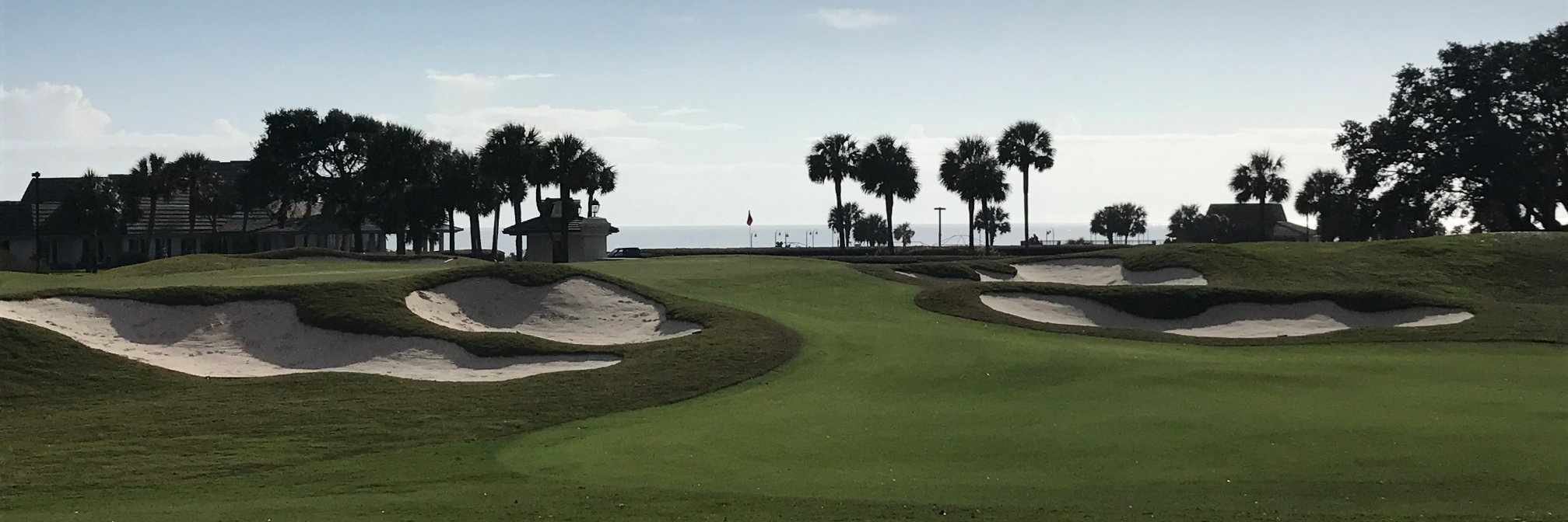 Steve Hamilton banner