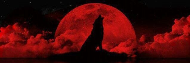 NarcisisticWolf's profile banner image