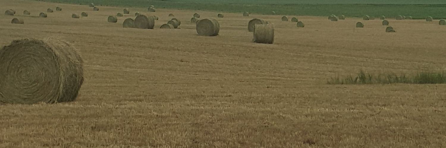 RodSnyder6's profile banner image