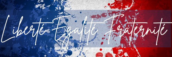 VPatriote Profile Banner