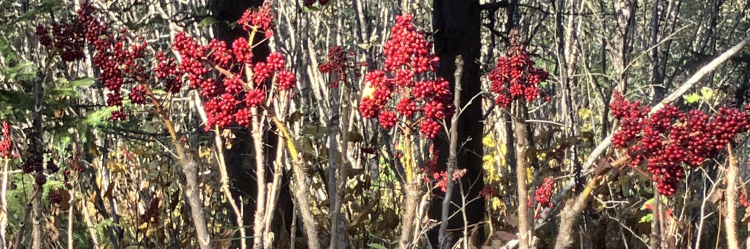 Dan Walker AK Author banner