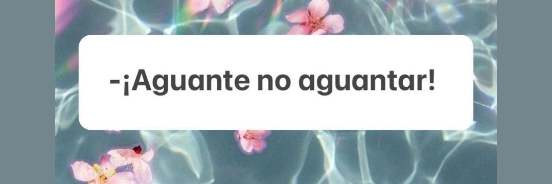 AgusPony's profile banner image