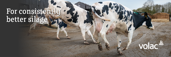 ecosyl_ Profile Banner