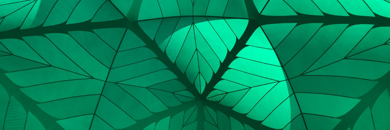ninja_fedy's profile banner image