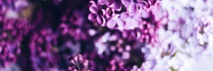 eman161114081's profile banner image