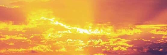 Johnson W Barlee banner