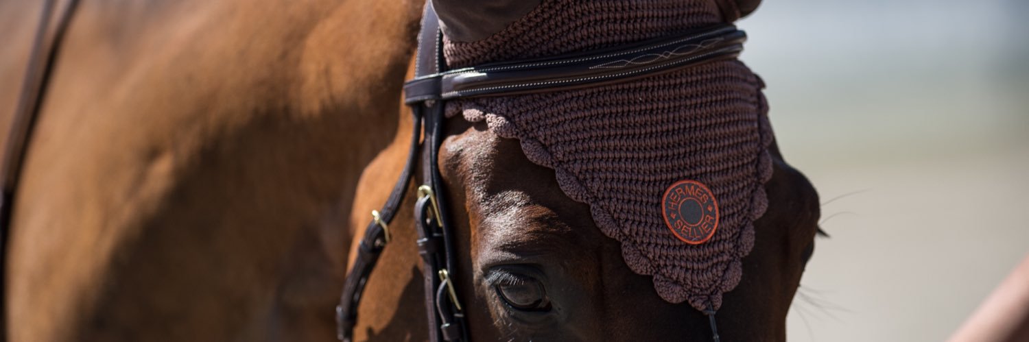 Victor Levecque banner