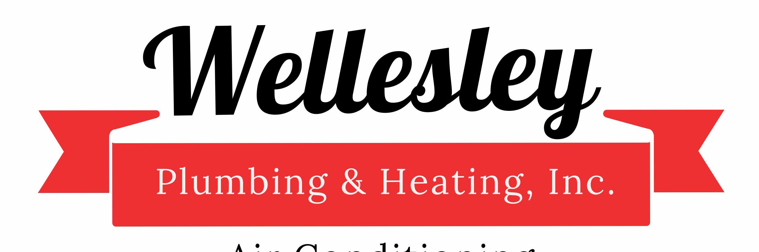 WellesleyPlumb's profile banner image