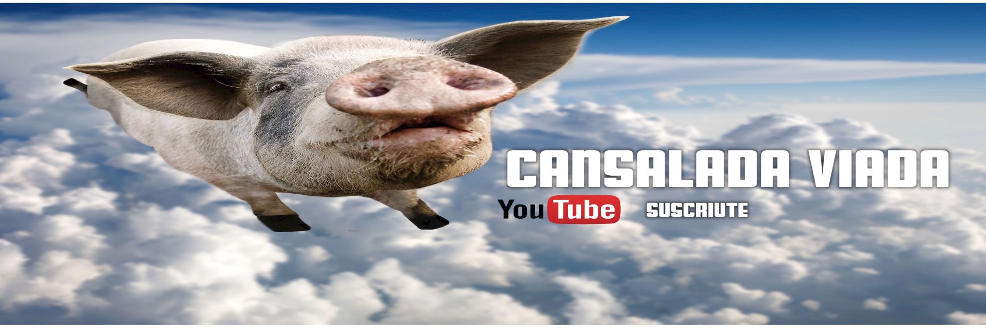 Cansalada_Viada's profile banner image