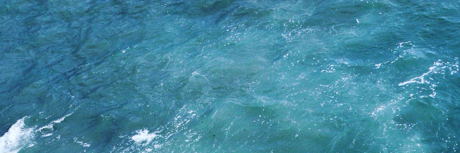 samfebrizio's profile banner image