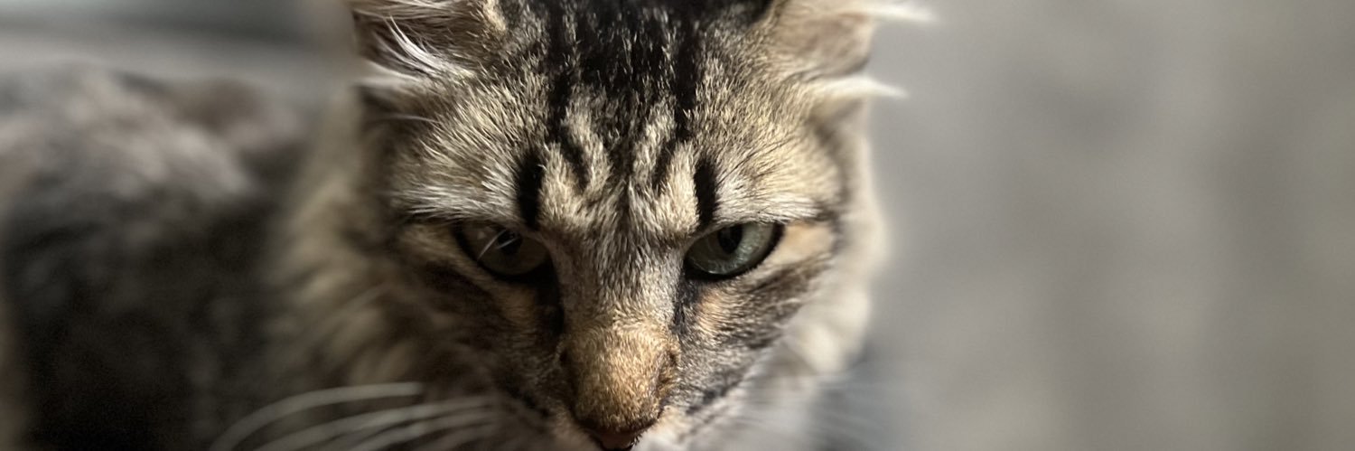 raulfsrd's profile banner image