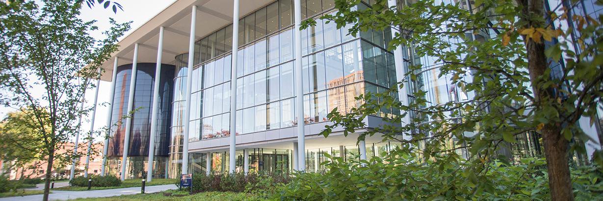 Yale SOM Exec Ed banner