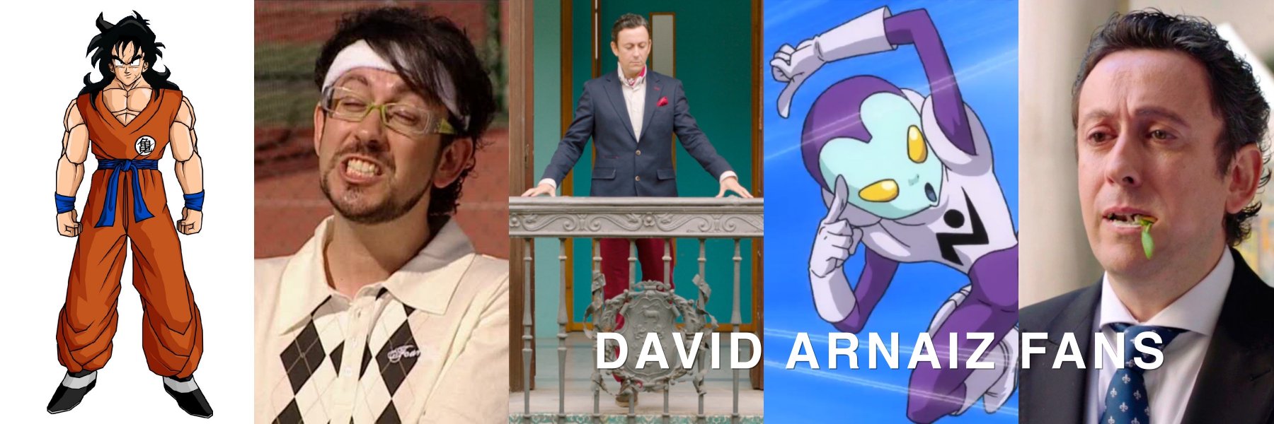 David Arnaiz Fans banner