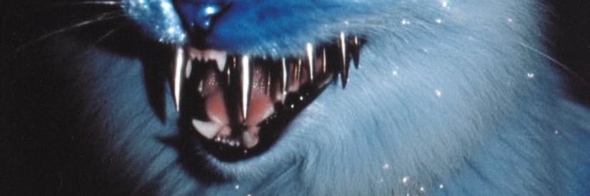 1ttas's profile banner image