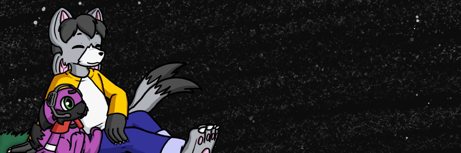 stelladente's profile banner image