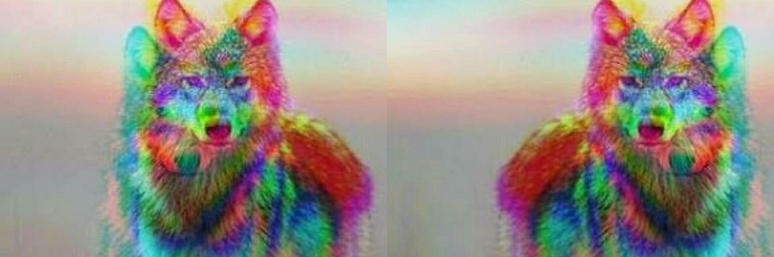 Jenybeck's profile banner image
