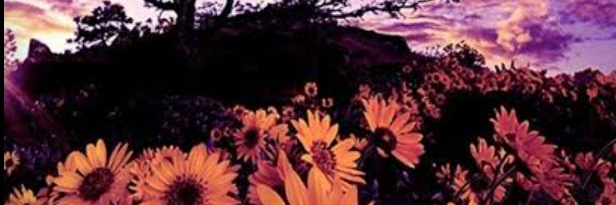 anab4247's profile banner image