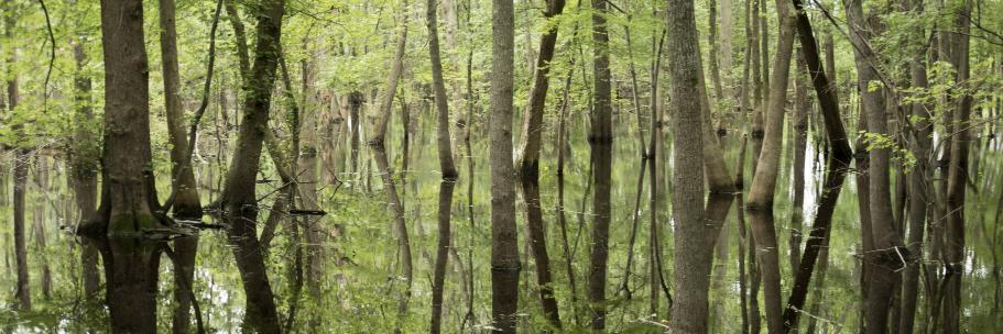RuralMOMag's profile banner image
