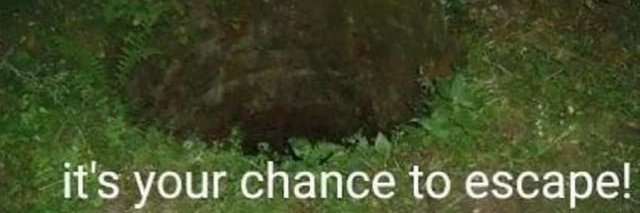 Fiscal de uwu's banner