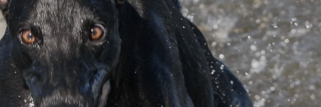 JohnSTetlien's profile banner image