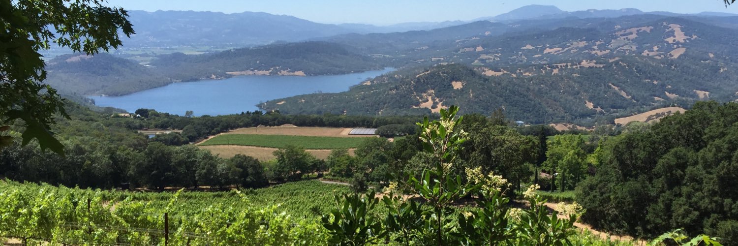 SommFoundation banner