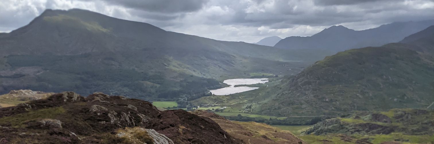 Stephen Garrett banner