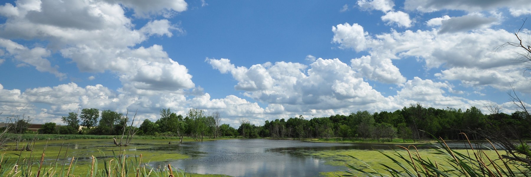 WLParksRec's profile banner image